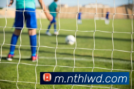 问鼎28平台生态图